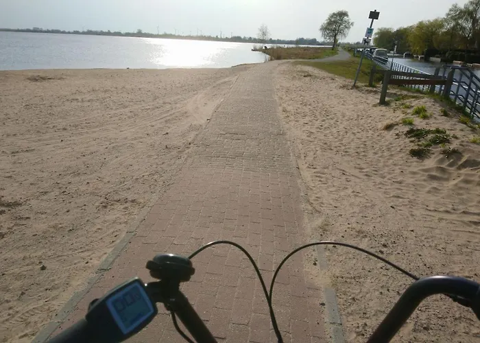 Tom Brook * Bedekaspel